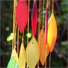 Leaf Spiral, rainbow